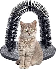 Ione Massaging Brush