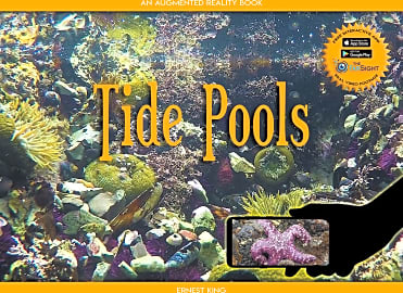 Tide Pools