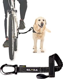 Bike and Dog