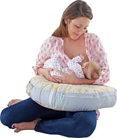 Fisher Price Perfect Position