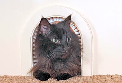 Cathole Cleaning Door