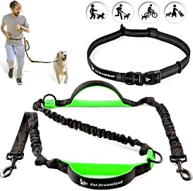 Pet Dreamland Professional