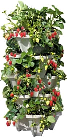 Mr. Stacky Indoor & Outdoor