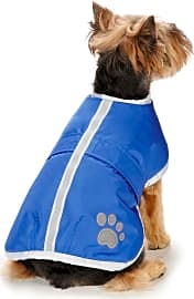 Zack & Zoey Nor'easter