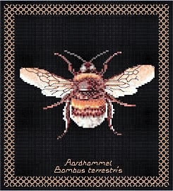 Thea Gouverneur Bumble Bee