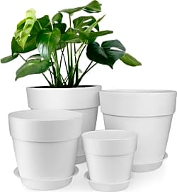 Homenote's Planters