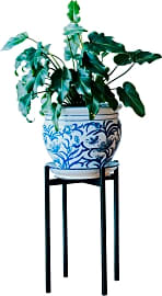 Thorne & Co Tall Holder