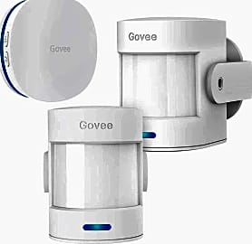 Govee Motion