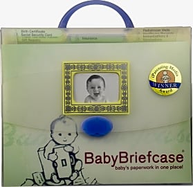 Baby Briefcase Organizer