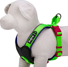 Blueberry Pet Summer Hope 3M Harness