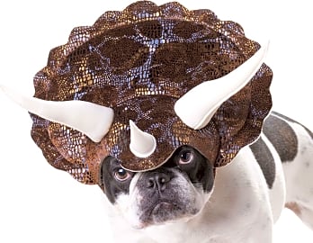 Animal Planet Triceratops Hat