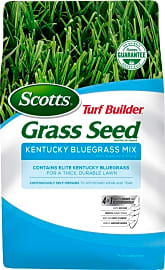 Scotts Turf Builder Kentucky Bluegrass