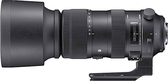 Sigma 60-600mm f/4.5-6.3 HSM