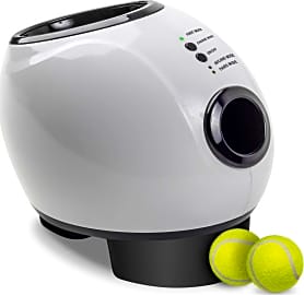 Paws & Pals Interactive