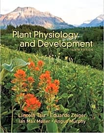 Plant Physiology and Development