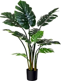 Fopamtri Monstera Deliciosa