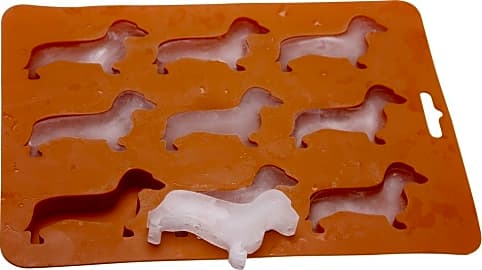 What On Earth Dachshund