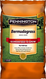 Pennington Bermudagrass