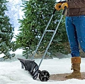 Bandwagon Adjustable