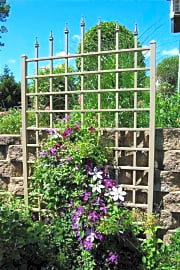 Dura-Trel Winchester