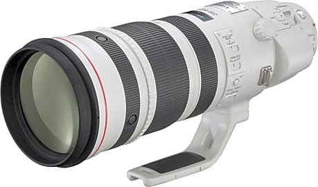 EF 200-400mm f/4L