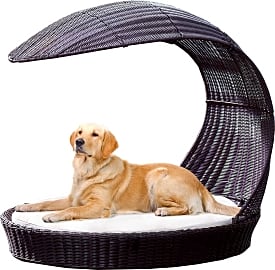 Refined Canine Chaise Lounger