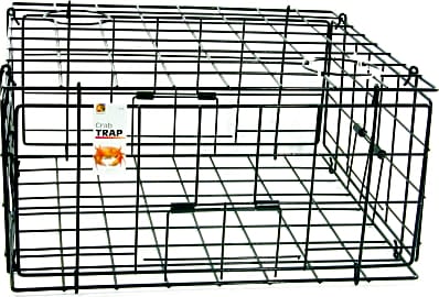 Danielson Pacific FTC