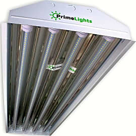 PrimeLights T8