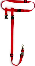 The Buddy System Hands Free