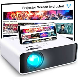 GooDee Mini W80