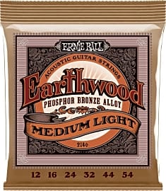 Ernie Ball Earthwood