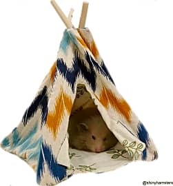 Exotic Nutrition Hideout