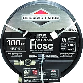 Briggs and Stratton 8BS100