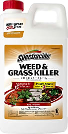 Spectracide Concentrate