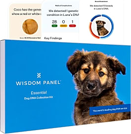Mars Wisdom Panel Essential
