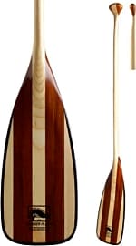 Bending Branches Cruiser Plus 11