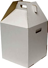 SpecialT Disposable 10-Pack