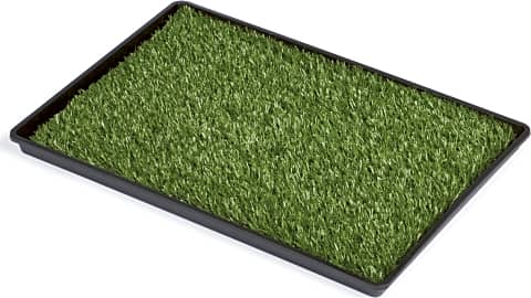 Prevue Hendryx Tinkle Turf