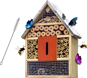 Funpeny Insect House