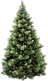 National Tree Carolina Pine