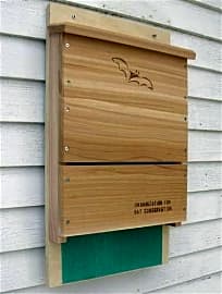 Looker Products Single Chamber