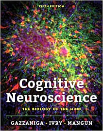 Cognitive Neuroscience