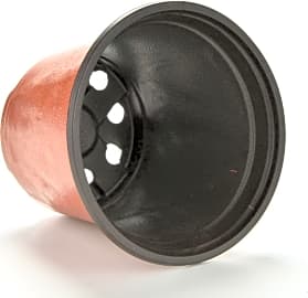 Kinglake Plastic Starter