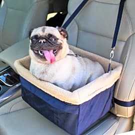 Devoted Doggy Deluxe