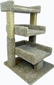 New Cat Condos Premier