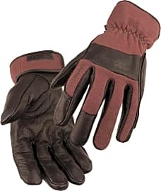 Black Stallion AngelFire