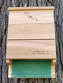 Looker Products Triple Chamber