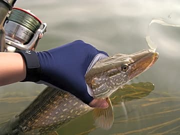 Fishing Tree Fingerless