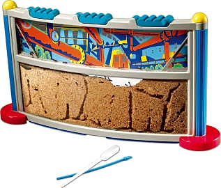 Educational Insights Geosafari