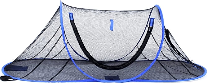 Wildwhiskers Feline Funhouse